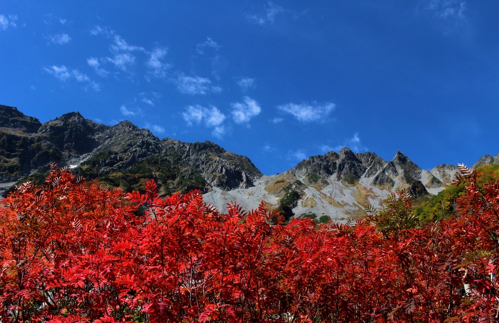 9/29(金)～10/1(日) 紅葉の涸沢へ