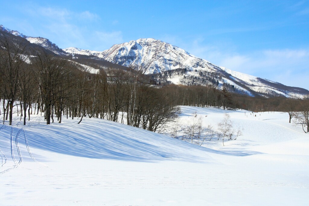 2/17(土)～18(日) ネイチャースキーツアー 妙高高原