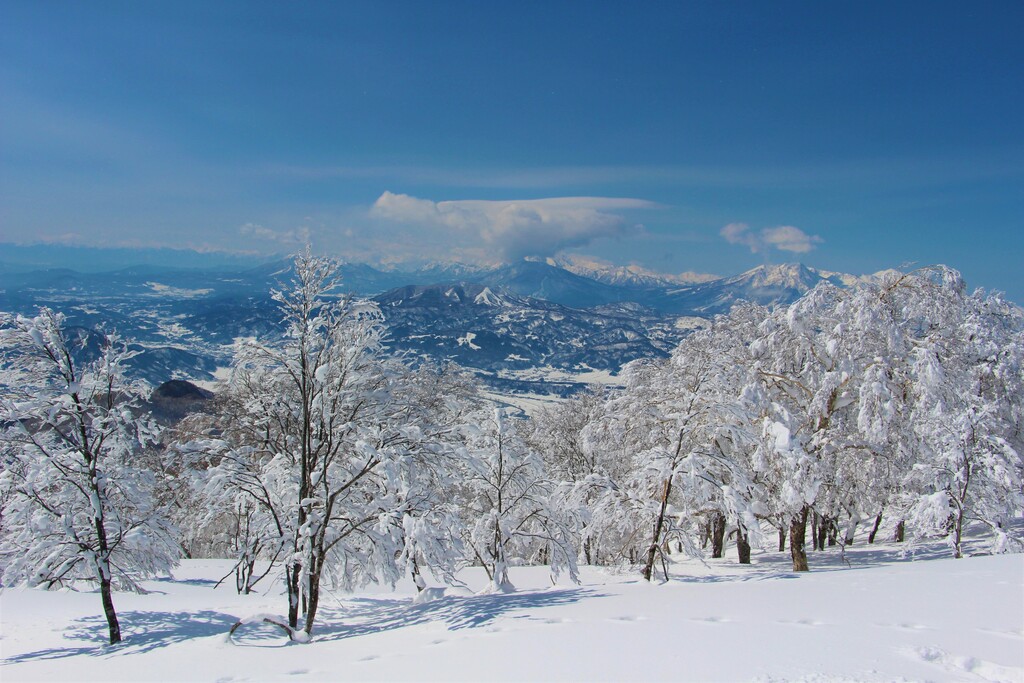 3/9(土)～10(日) ネイチャースキーツアー 野沢温泉