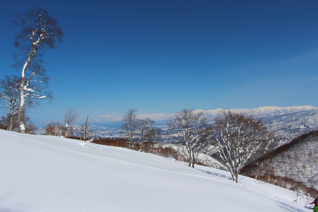 3/30(土)～31(日) ネイチャースキーツアー野沢温泉・鍋倉山＆七ケ巻
