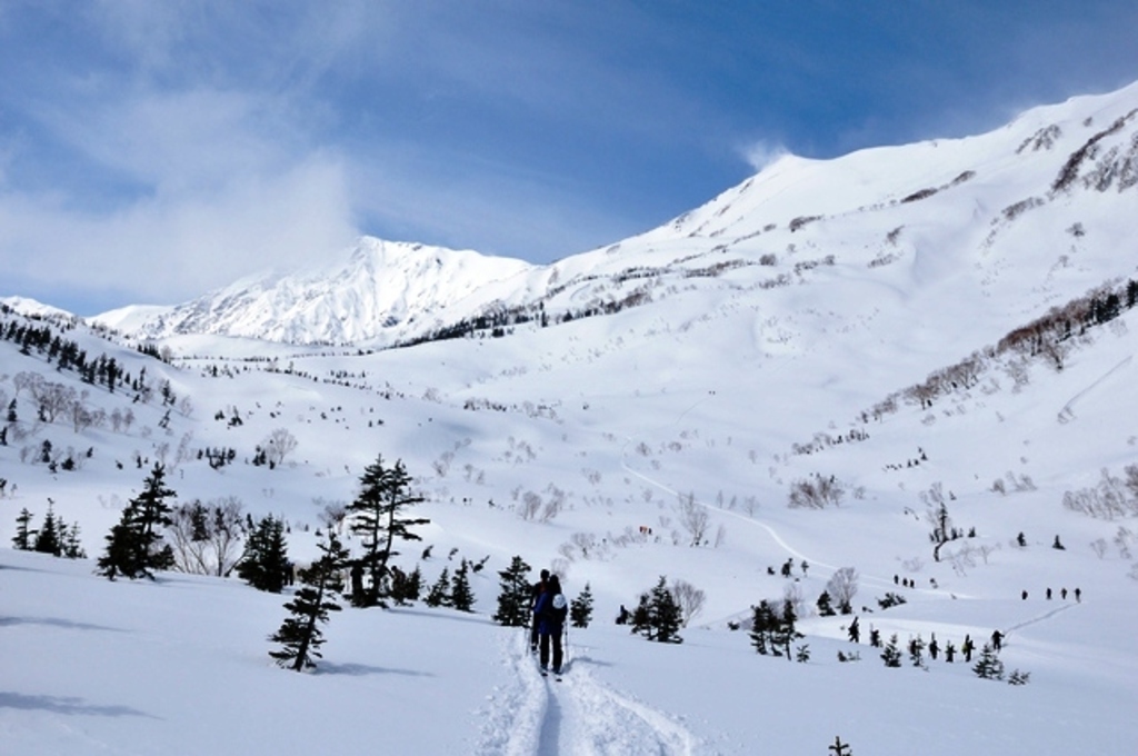 4/6(土)～7(日) ネイチャースキーツアー 栂池高原