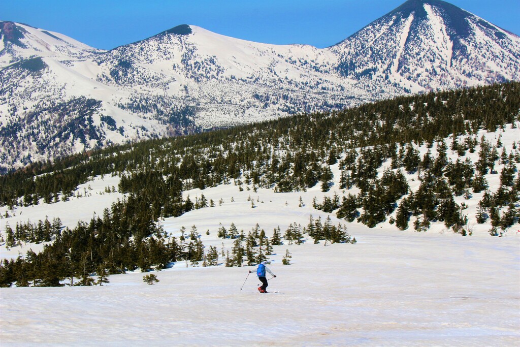 5/2(木)～5/6(祝) ネイチャースキーツアー 八甲田
