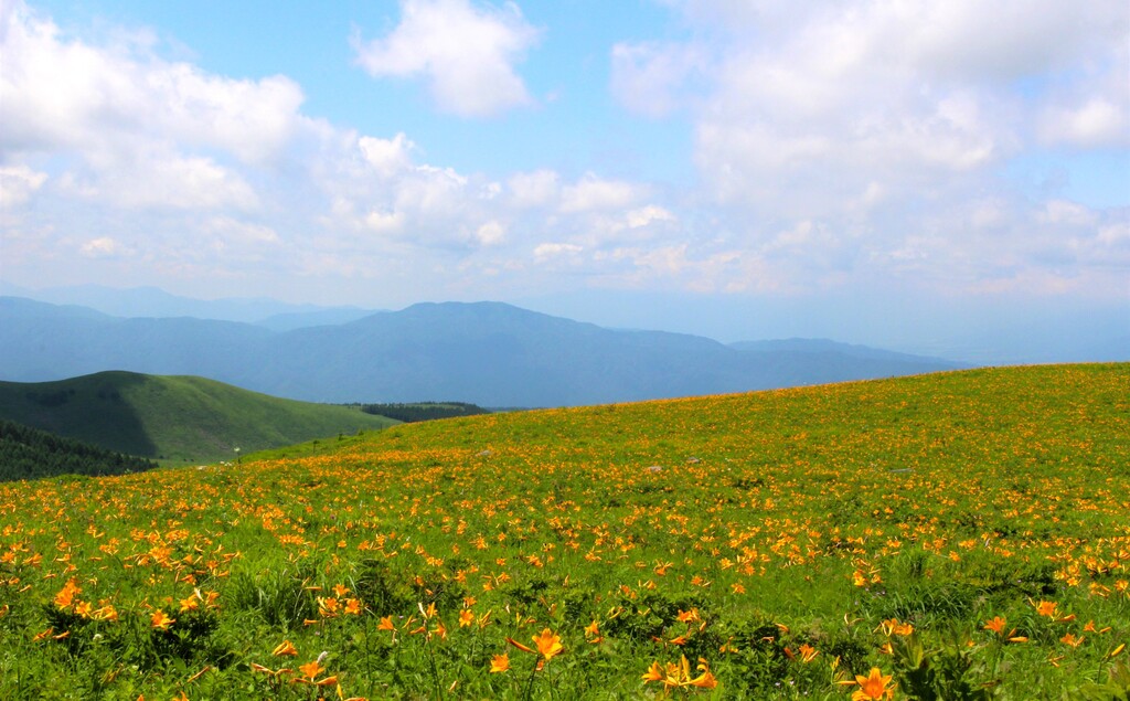 7/13(土)～15(祝) 北八ヶ岳＆霧ヶ峰