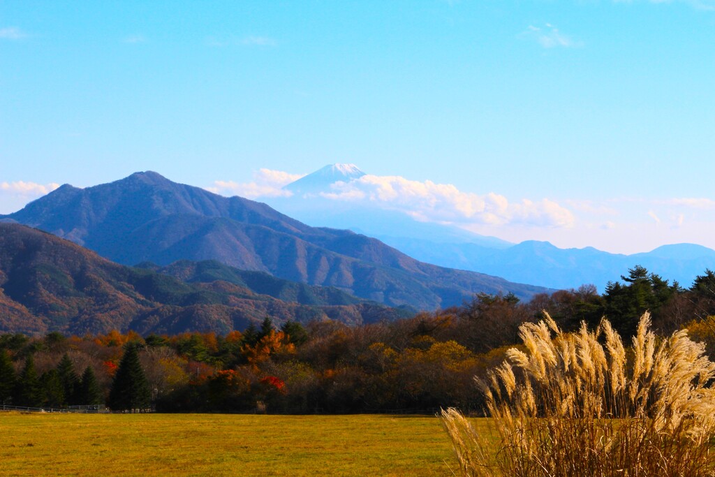 11/2(土)～4(月祝) 紅葉と大展望の清里高原