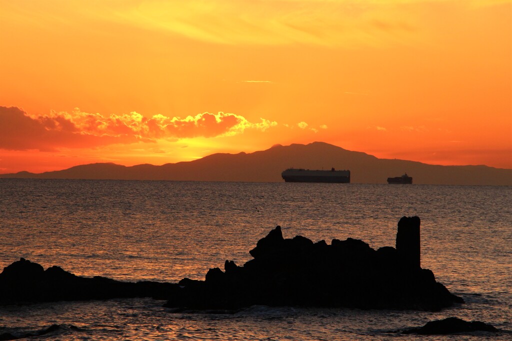 1/17(土) 展望の房総・鋸山と水仙ロード