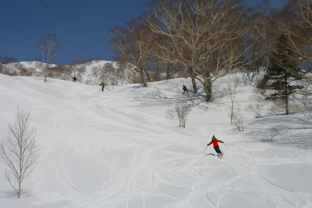 3/14(土)~15(日) ネイチャースキーツアー 妙高高原