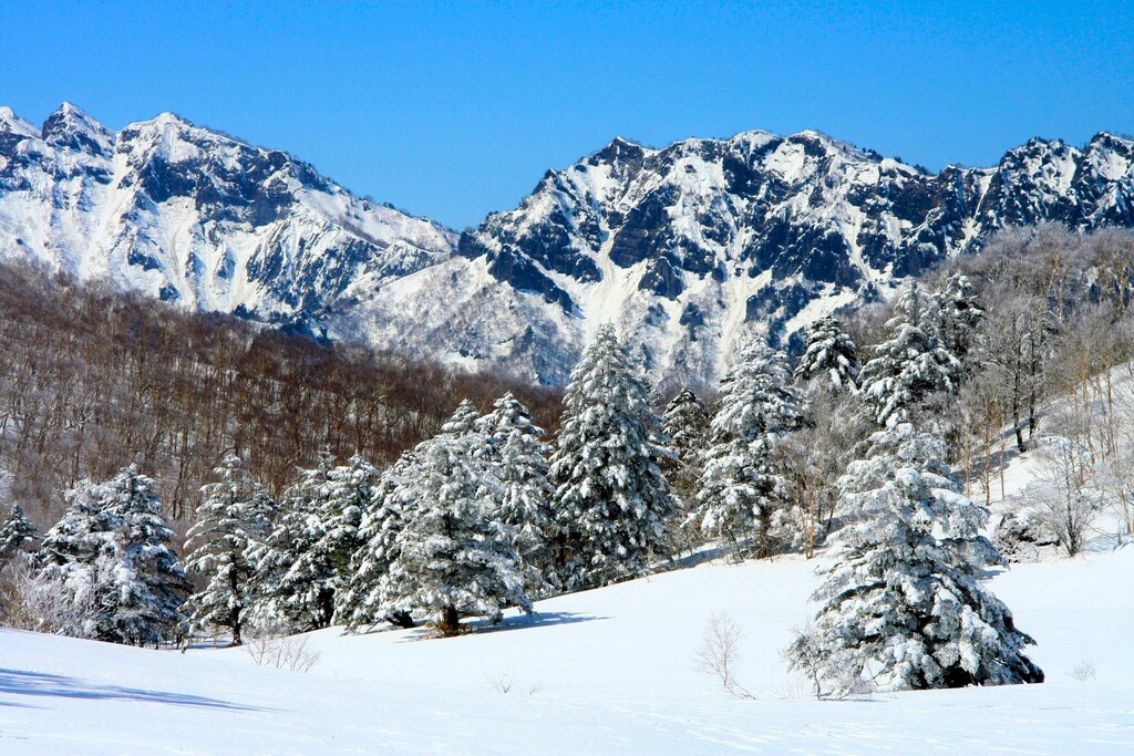 2/21(土)~23(祝) スノーシュー戸隠高原ハイキング