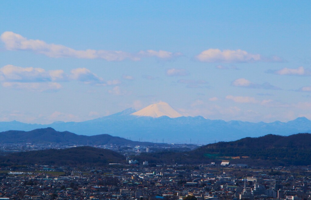 3/29(日) みかも山・カタクリ群生地を巡るハイキング