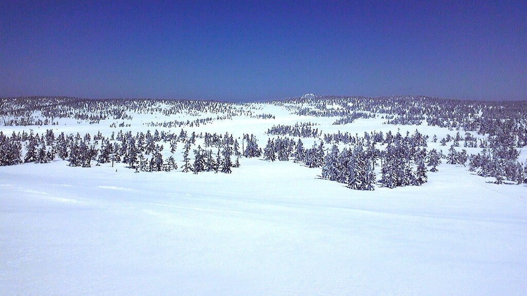4/25(土)～29(祝) ネイチャースキーツアー 八幡平
