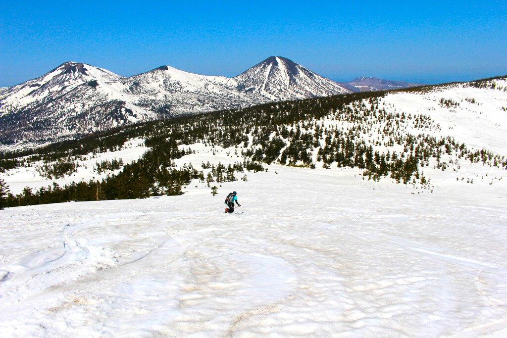 4/30(木)～5/6(祝) ネイチャースキーツアー 八甲田