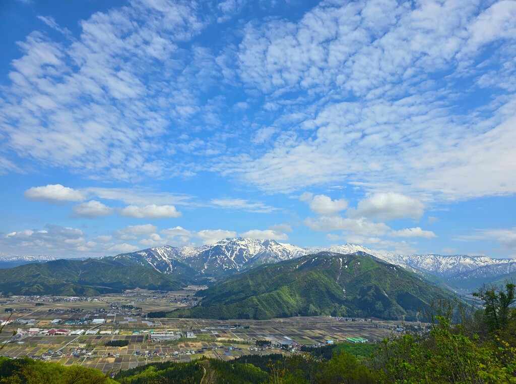 4/25(土) カタクリと春の花の宝庫 坂戸山