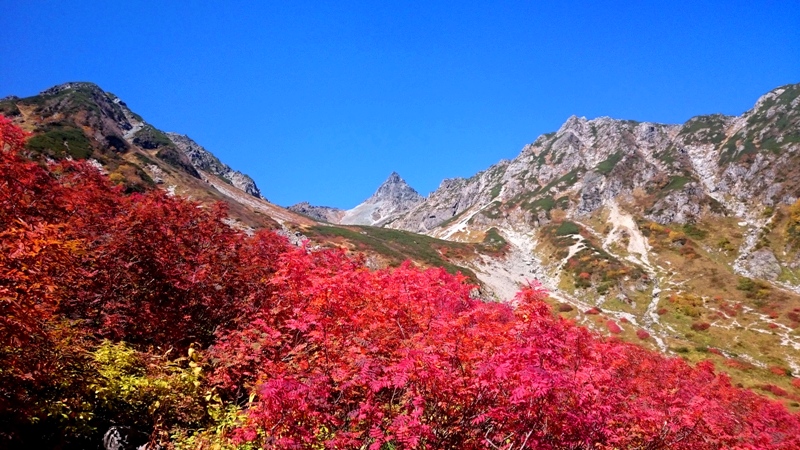 紅葉の槍ヶ岳