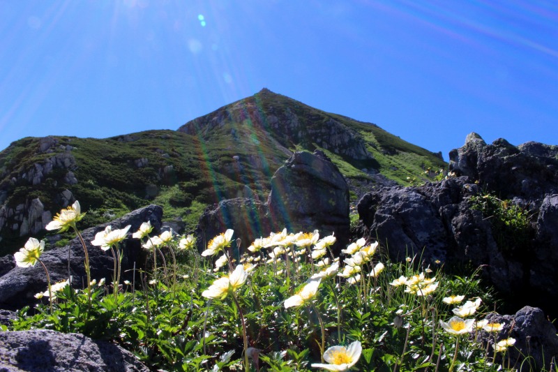 夏の立山連峰