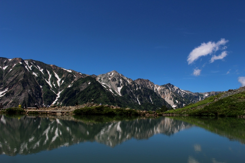 ７月下旬の白馬八方&栂池・高山植物トレッキング